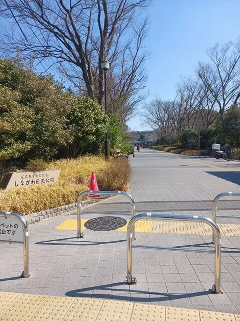 しながわ区民公園まで169m