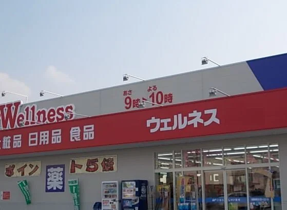 ウェルネス米原店まで1000m
