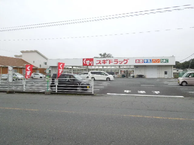 スギドラッグ上尾上店まで200m