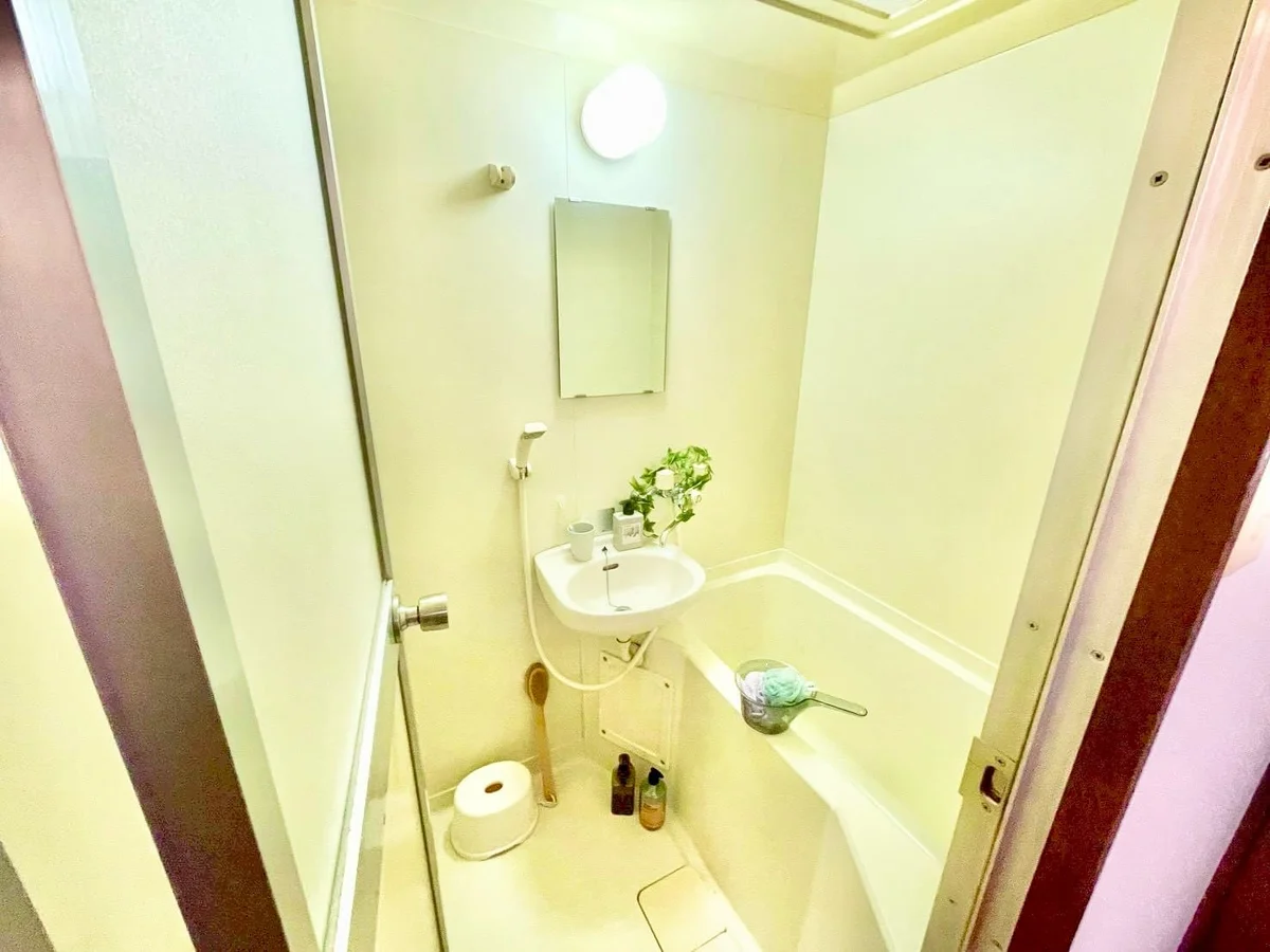 ※撮影用の観察植物・食器調理器具・雑貨類等はございません。※写真は現況優先