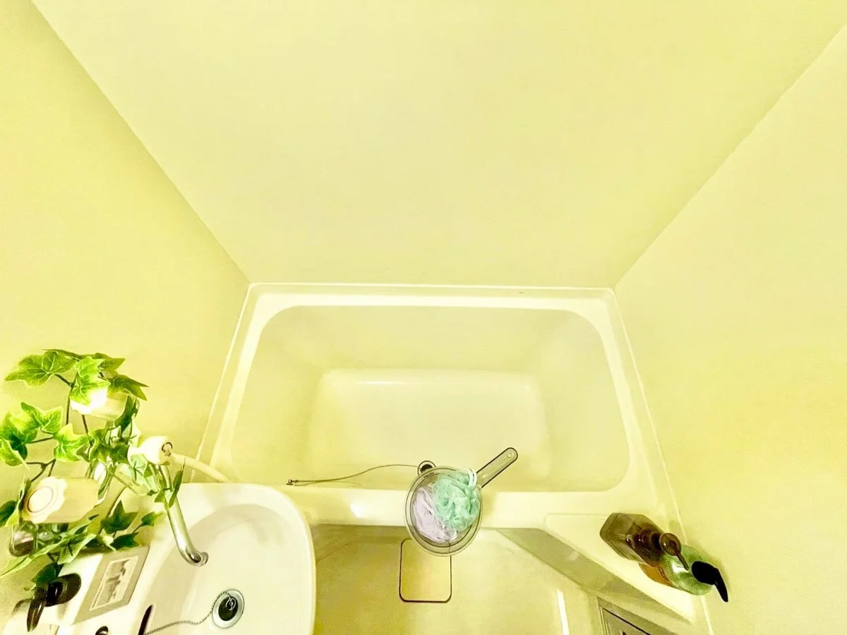 ※撮影用の観察植物・食器調理器具・雑貨類等はございません。※写真は現況優先
