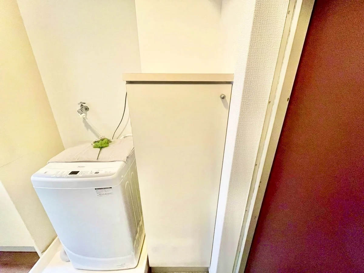 ※撮影用の観察植物・食器調理器具・雑貨類等はございません。※写真は現況優先
