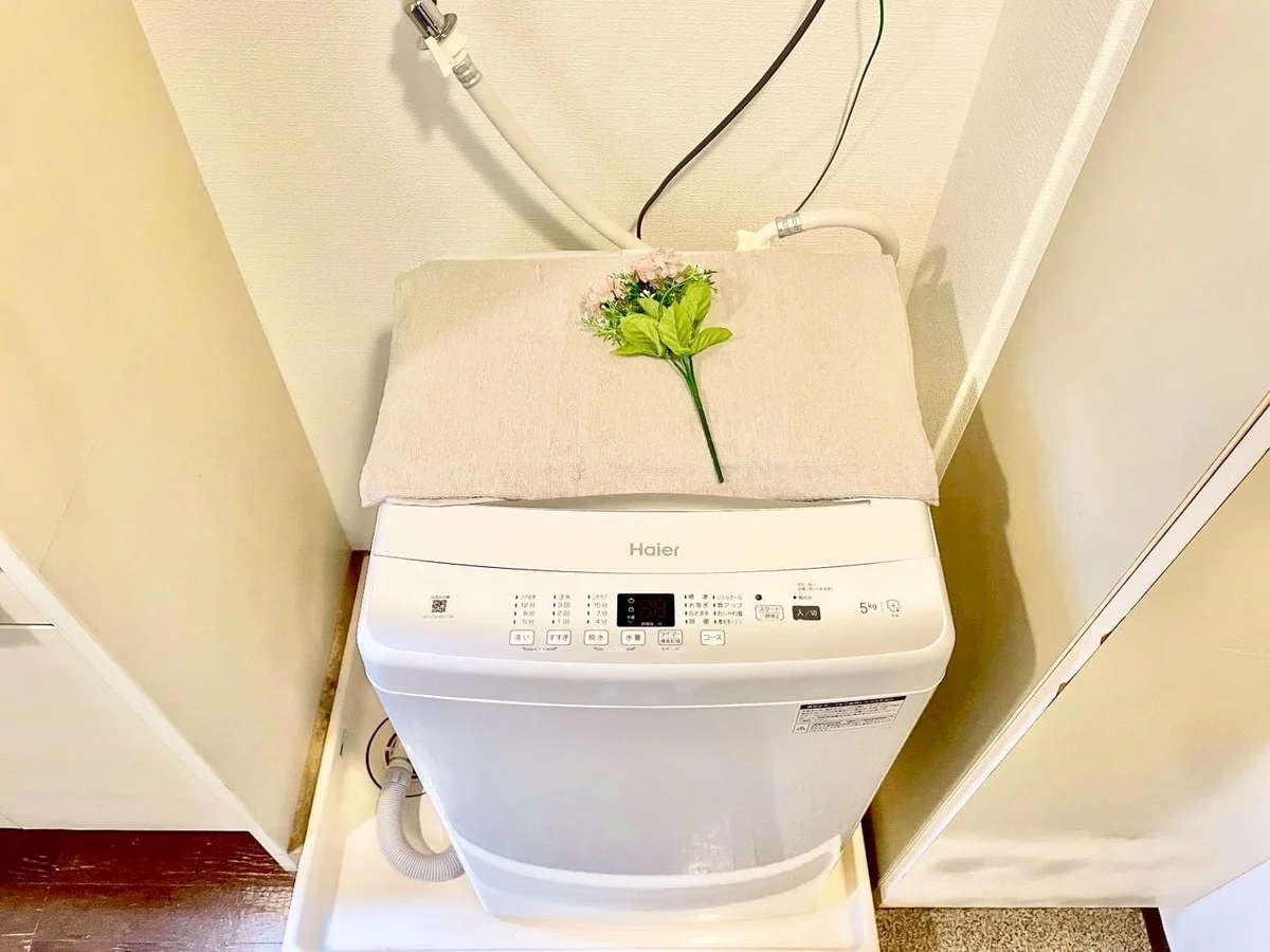 ※撮影用の観察植物・食器調理器具・雑貨類等はございません。※写真は現況優先