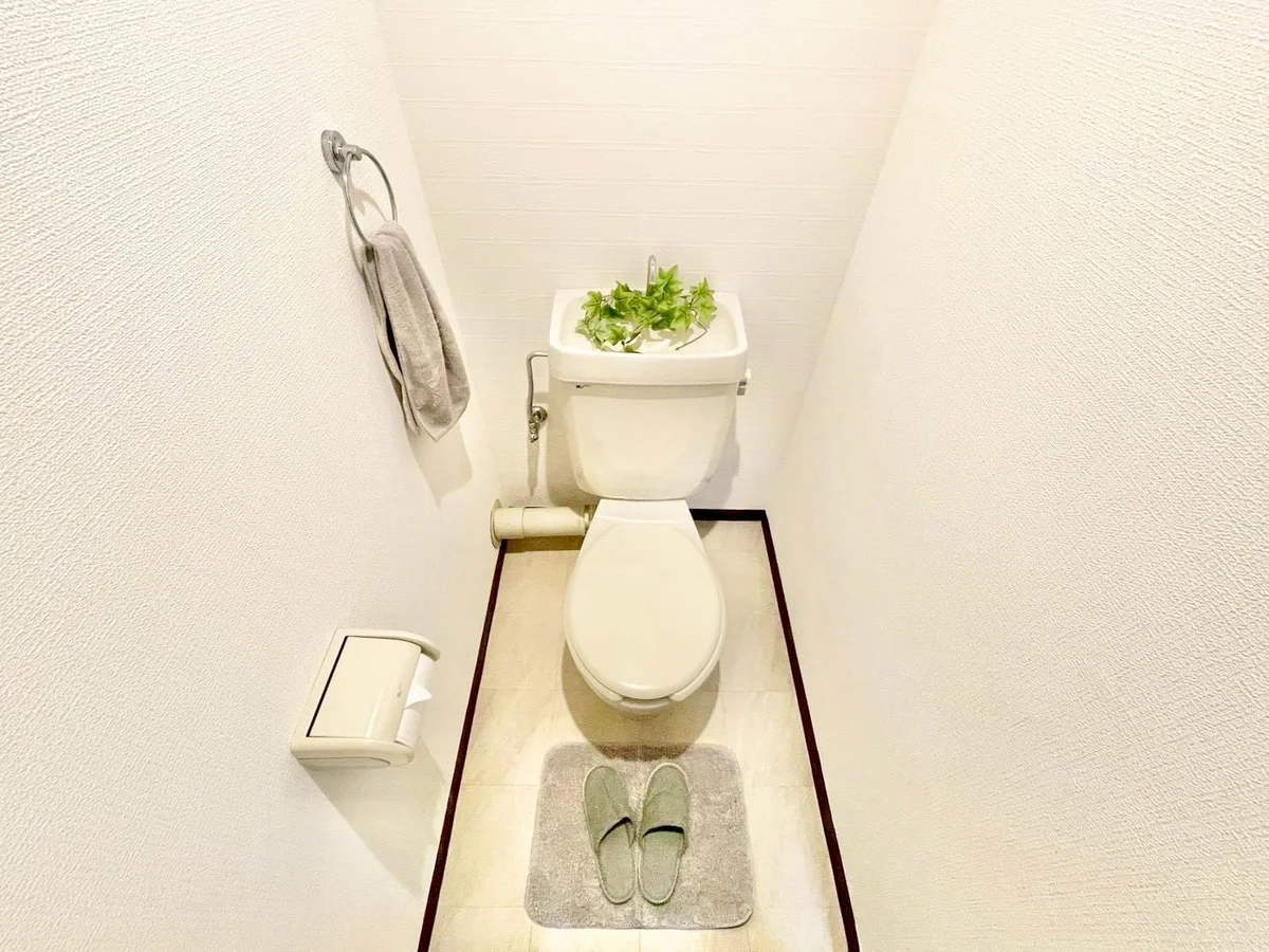 ※撮影用の観察植物・食器調理器具・雑貨類等はございません。※写真は現況優先