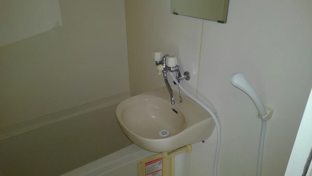 浴室内洗面スペース