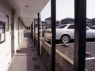 共用部分は清掃業者が清掃しています。