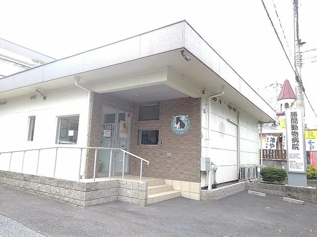 勝間動物病院まで700m