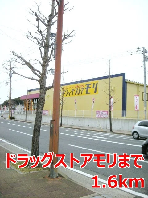 ドラッグストアモリまで1600m
