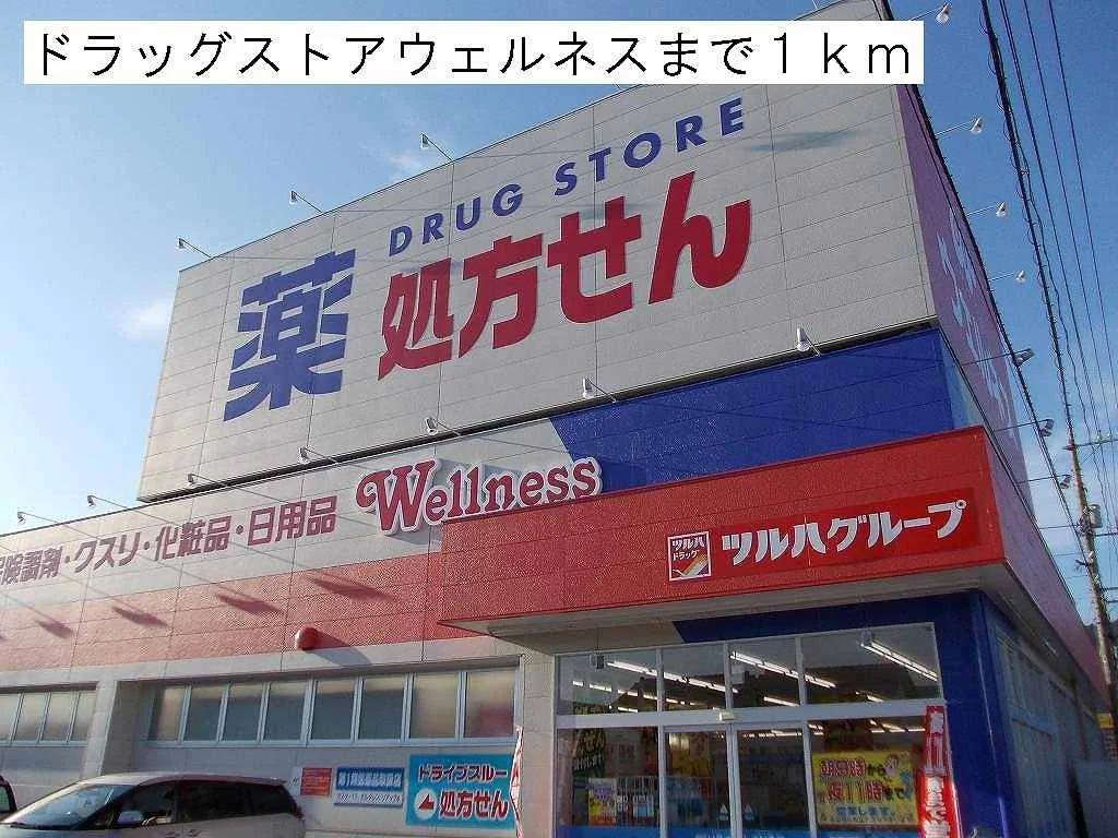 ドラッグストアウェルネスまで1000m