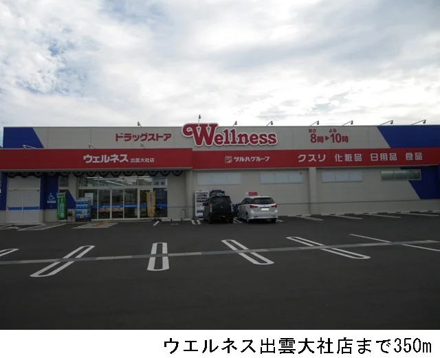 ウエルネス出雲大社店まで350m