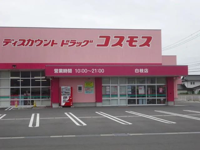 コスモス白枝店まで1900m