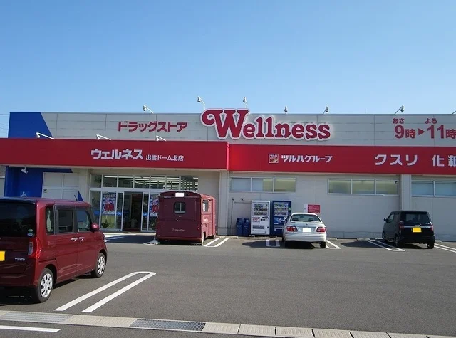 ウェルネス 出雲ドーム北店まで1500m