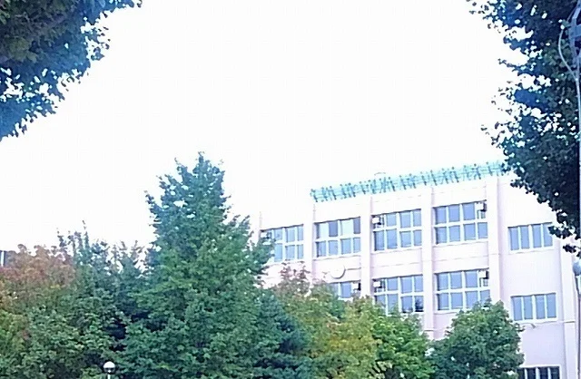 幌南小学校まで1100m