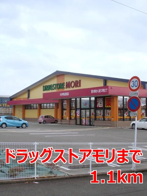 ドラッグストアモリまで1100m