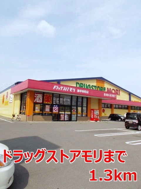 ドラッグストアモリまで1300m
