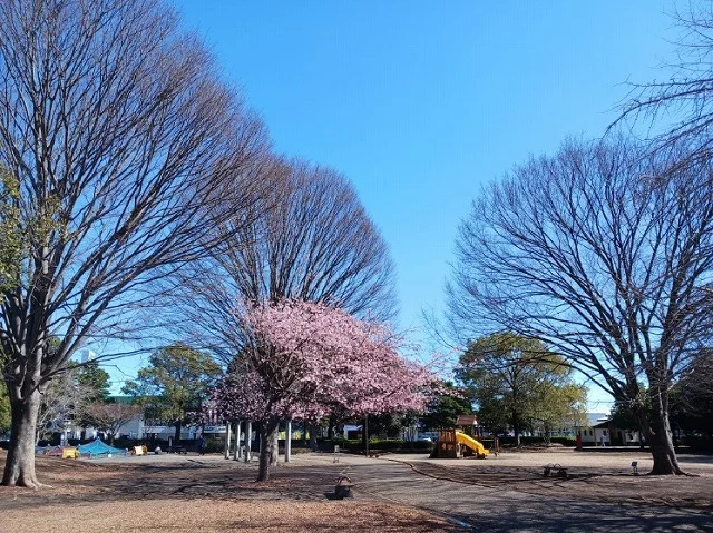 米之宮公園まで260m