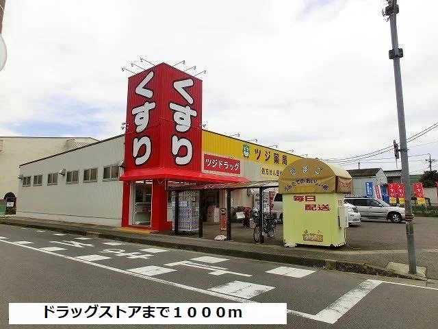 ツジ薬局まで1000m