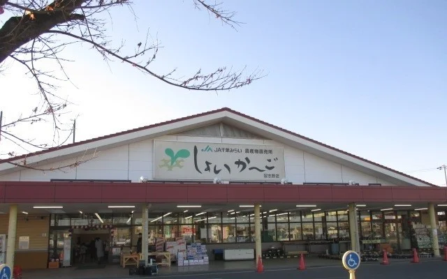 しょいか～ごまで550m