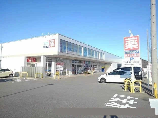 ウエルシア金沢直江店まで1500m
