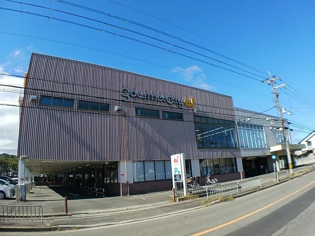 グルメシティ 上桂店まで1100m