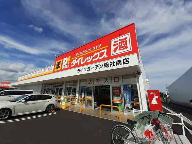 ダイレックス総社南店まで1200m