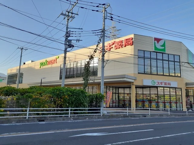 ヨークマート伊勢原成瀬店まで600m