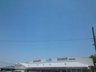 ウエルシア様まで1700m