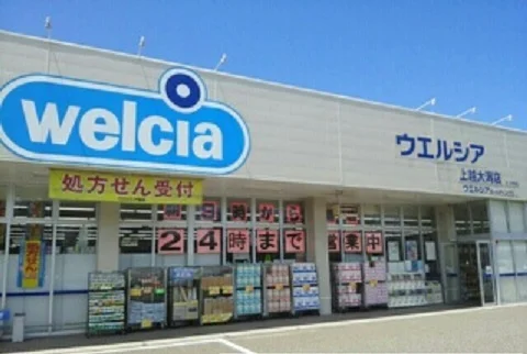 ウエルシア上越大潟店まで2810m