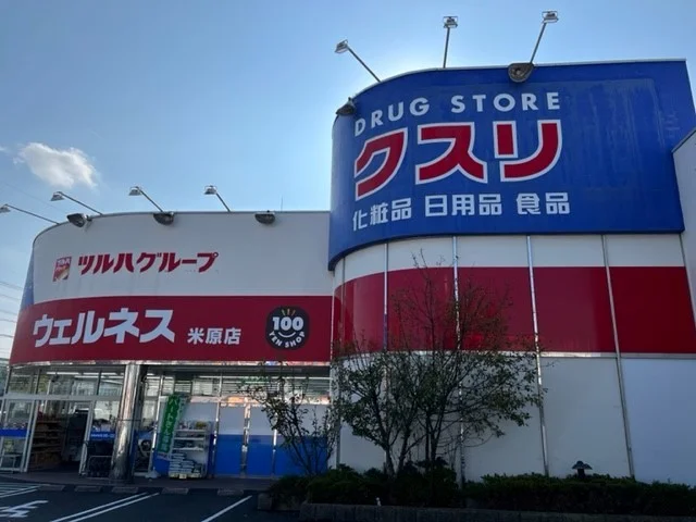 ウェルネス米原店まで700m