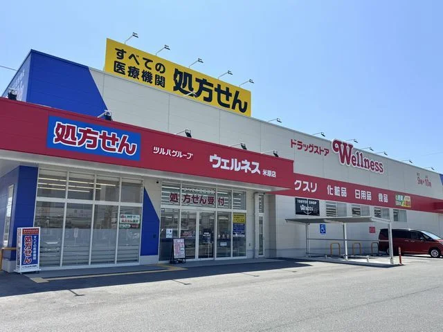 ウェルネス米原店まで700m
