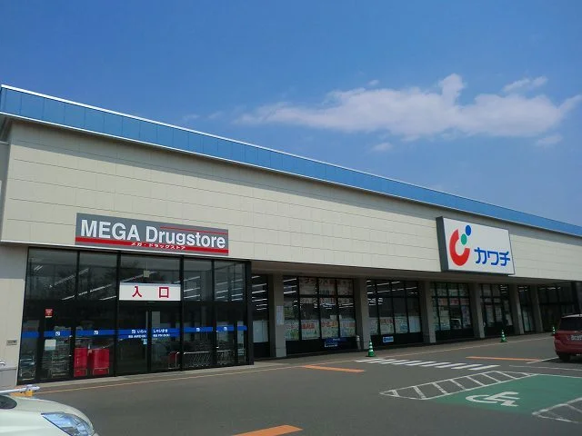 カワチ薬品沼田東店まで1100m