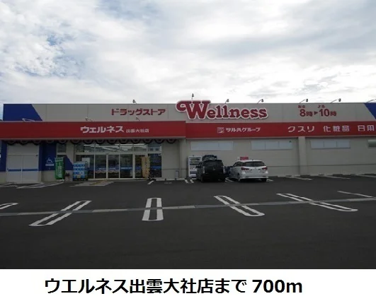 ウエルネス出雲大社店まで700m