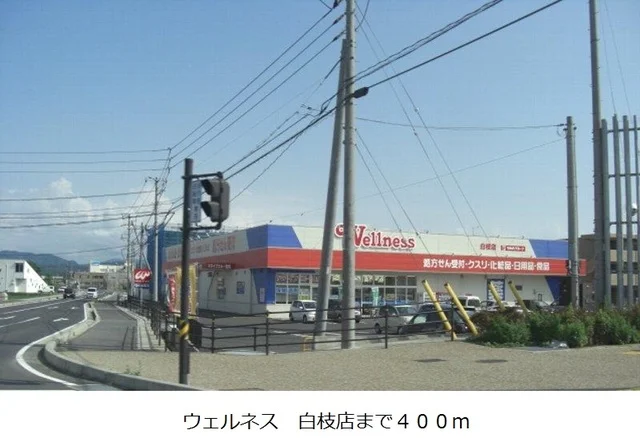 ウェルネス白枝店まで400m