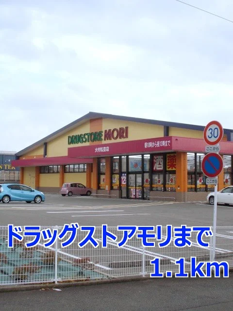 ドラッグストアモリまで1100m