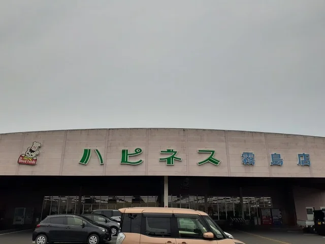 ハピネス霧島店まで1100m