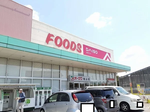 ダイソーオークワ亀山店まで700m