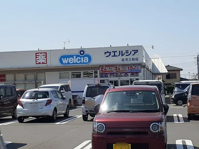 ウエルシア古河三和店まで350m