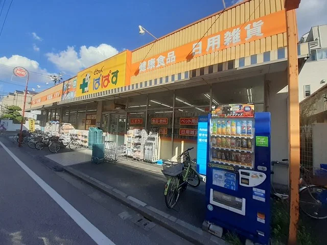 どらっぐぱぱすまで619m