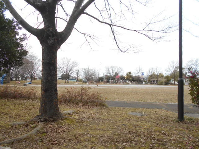 島南公園まで800m