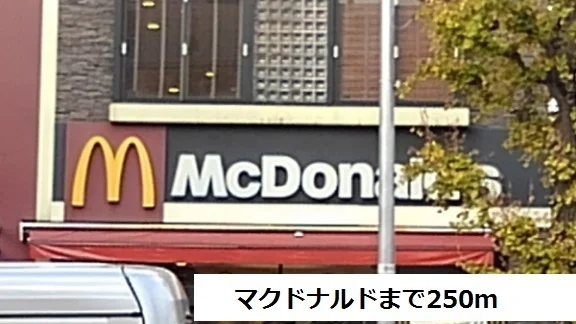 マクドナルドまで250m