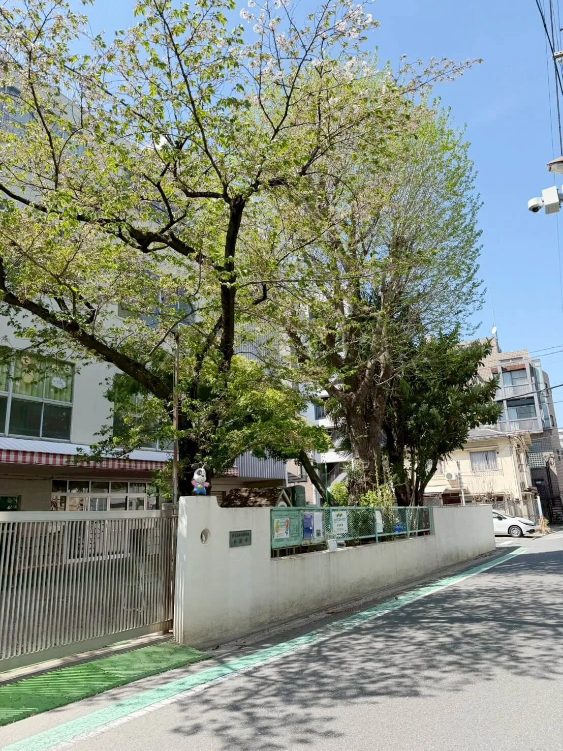 学校も近くにあります。