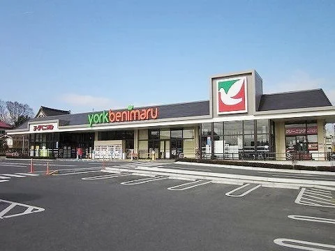 ヨークベニマル白河横町店まで250m