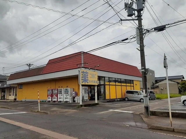 大手薬品新潟和納店まで1900m