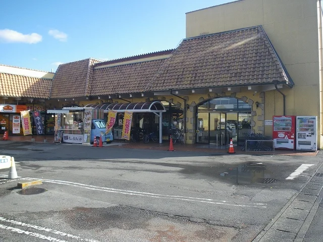 オータニ　野沢店まで300m