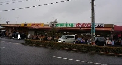 きむらさんまで950m