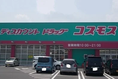 コスモス六条店さんまで1100m