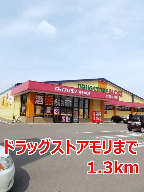 ドラッグストアモリまで1300m