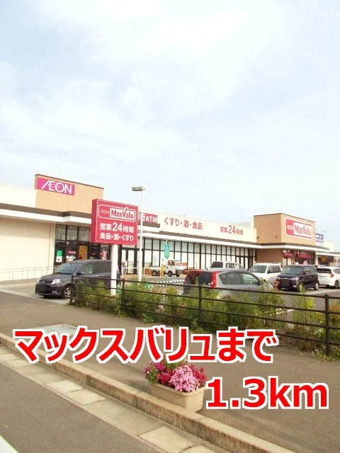 マックスバリュまで1300m