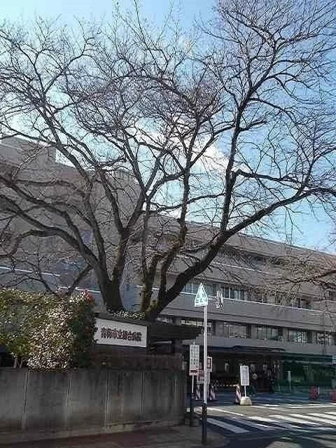 市立青梅総合医療センターまで300m