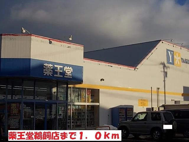 薬王堂鵜飼店まで1000m